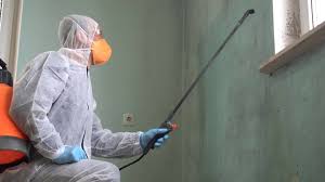 Best Mold Remediation for Healthcare Facilities  in Chula Vista, TX