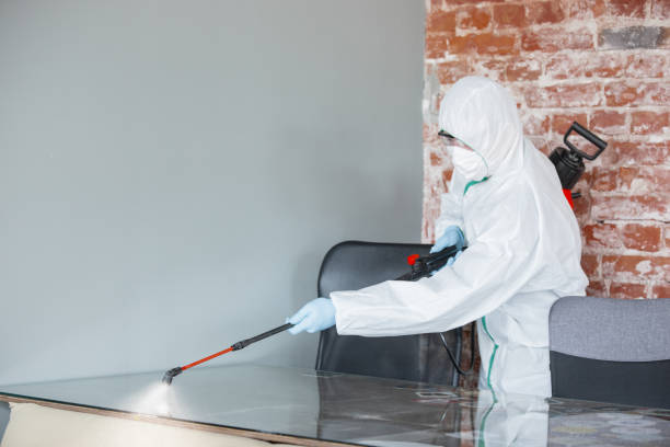 Chula Vista, TX Mold Inspection Company