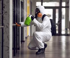 Why You Should Choose Our Mold Remediation Services in Chula Vista, TX